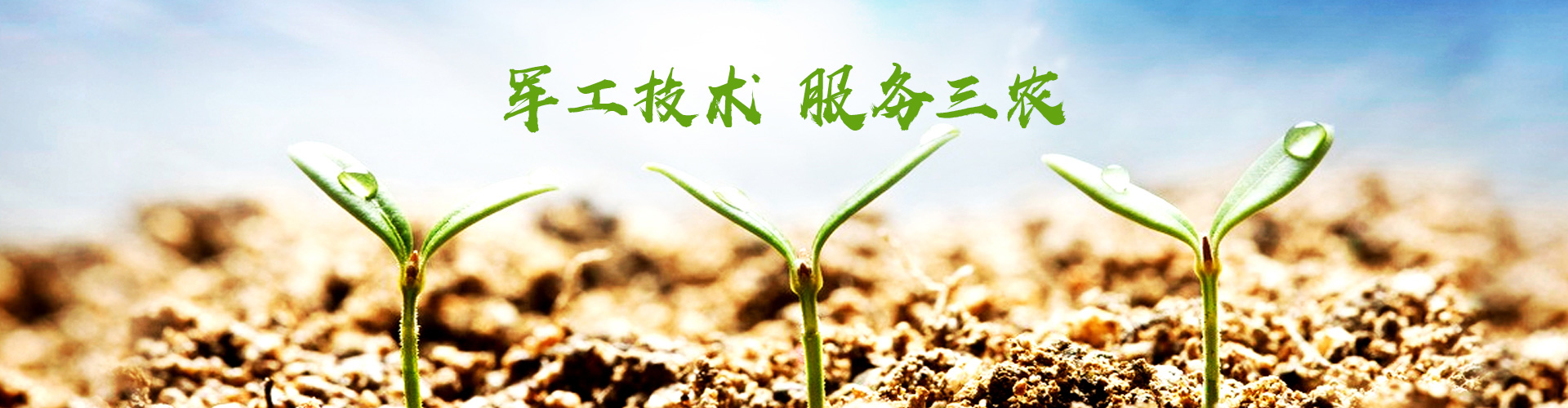 乐天使官网